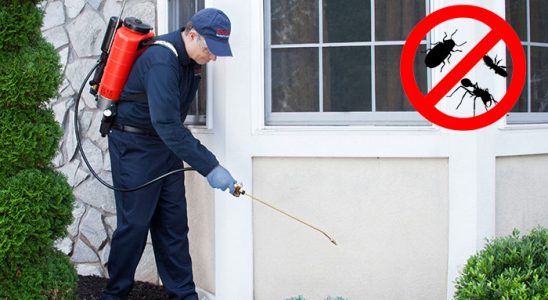 Ereğli Gümüşkurt İlaçlama böcek ilaçlama ve haşere kontrolü — ilaclama-tr.com